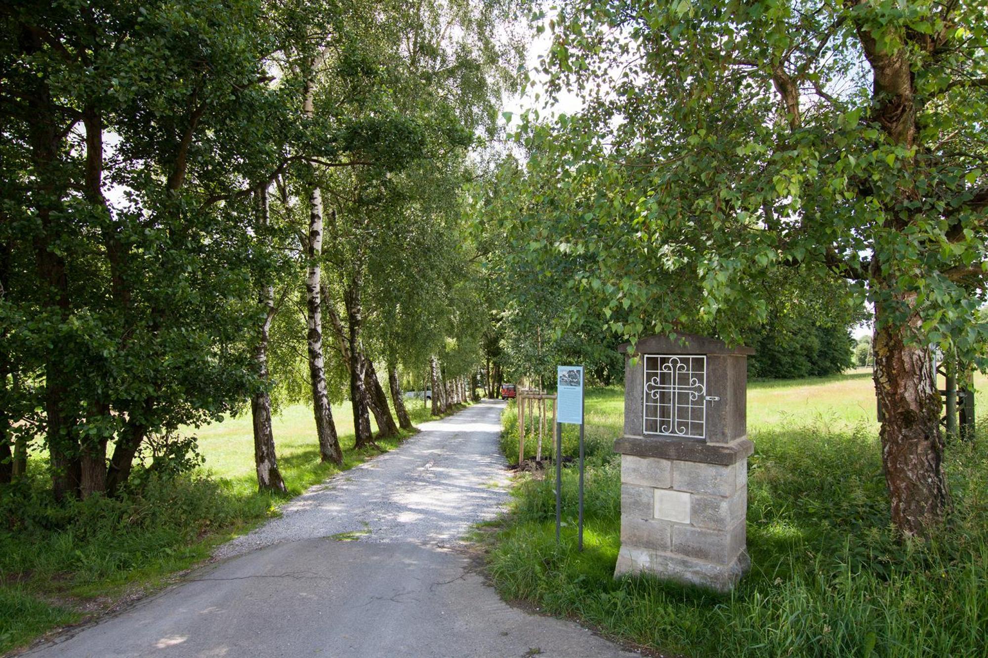 Michels Mühle ... wieder Land sehen Brilon Exterior foto